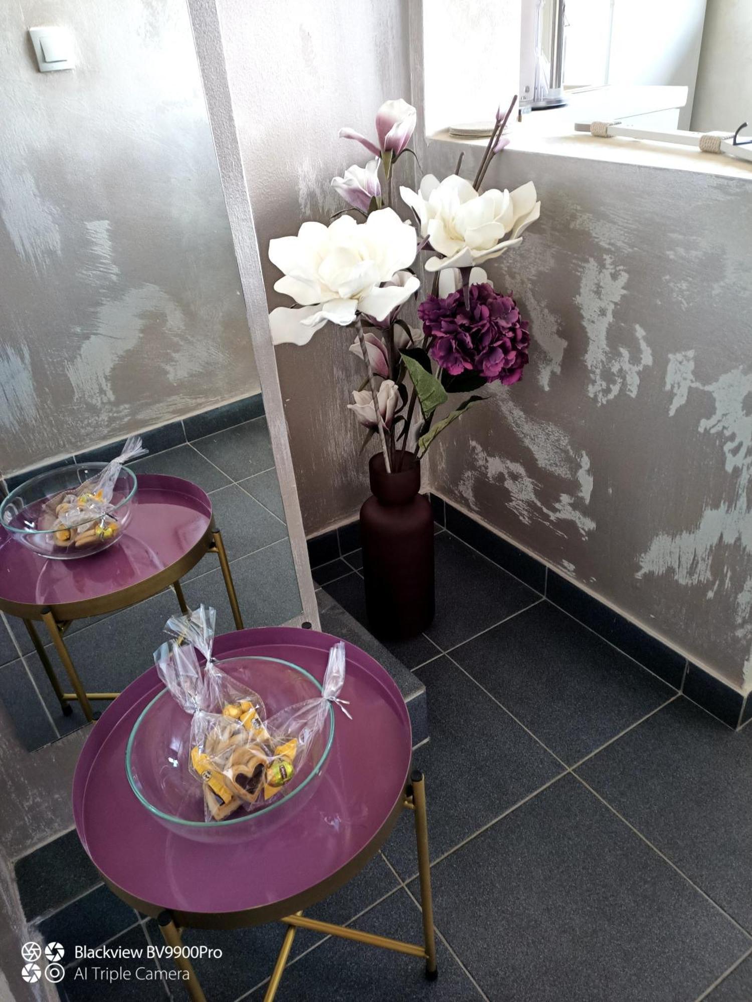 Apartman Bella Vista Голубац Экстерьер фото